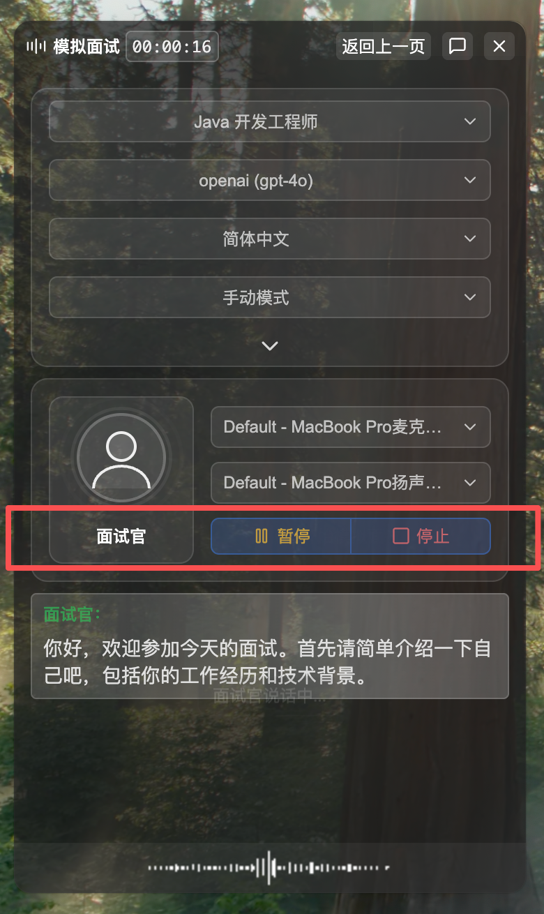左侧窗口暂停按钮